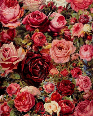 Peinture par numéros - Tapis de roses