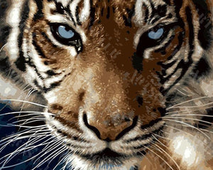 Peinture par numéros - Les yeux du Tigre