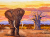 Broderie Diamant - L'éléphant de la savane africaine - Kit complet de Diamond Painting avec accessoires