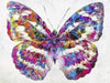 Broderie Diamant - Papillon dans sa robe arc-en-ciel - Kit complet de Diamond Painting avec accessoires