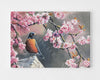 Peinture par numéros - Rouge-gorge et fleurs de cerisier