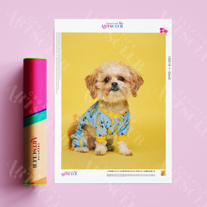 Broderie Diamant - Petit chien en Tee shirt- Kit complet de Diamond Painting avec accessoire